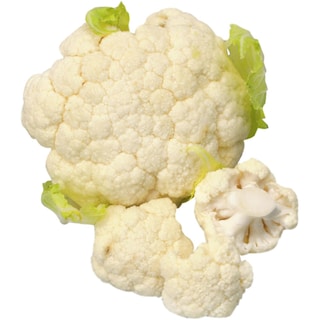 (vrac) | Conopida, import