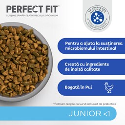 Perfect Fit | Hrana uscata, completa, bogat in pui, pentru pui de pisica 750g
