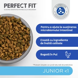 Perfect Fit | Hrana uscata, completa, bogat in pui, pentru pui de pisica 750g