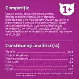 Whiskas | Hrana uscata pentru pisici cu somon 1.4kg
