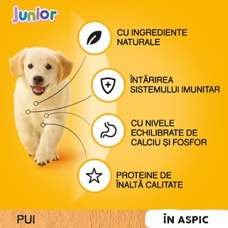 Pedigree | Hrana completa pentru catei Junior cu pui si orez 100g