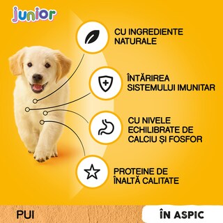 Pedigree | Hrana completa pentru catei Junior cu pui si orez 100g