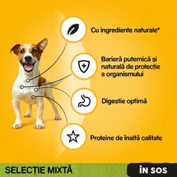 Pedigree | Hrana completa pentru caini adulti cu pui si legume si vita si legume 4x100g