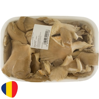 (produs ambalat) | Ciuperci Pleurotus 500g