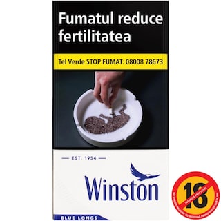 Winston | Blue 100 | Tigari