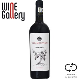 Terra Valleverde | Vin rosu sec Divino 0.75L