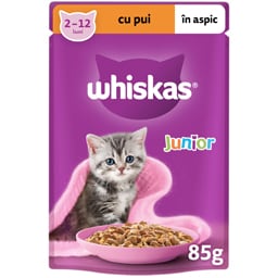 Whiskas | Hrana umeda pentru pui de pisica, cu pui in aspic 85g
