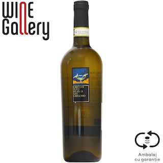 Feudi Di San Gregorio | Vin San Gregorio 0.75L