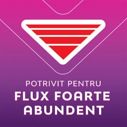 Libresse | Absorbante Maxi Goodnight, 10 bucati