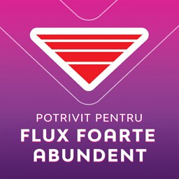 Libresse | Absorbante Maxi Goodnight, 10 bucati