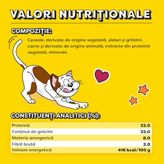 Dreamies | Recompense pentru pisici, cu aroma de iarba piscii 60g