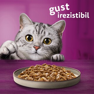 Whiskas | Casserole | Hrana umeda cu pui pentru pisici 85g