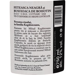 Domeniile Kogalniceanu