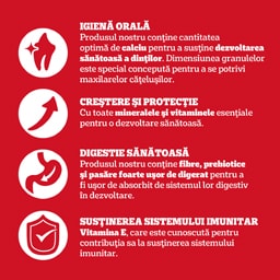 Pedigree | Hrana uscata pentru catei cu pui si legume 500g