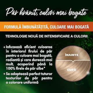 Garnier | Color Naturals | Vopsea de par blond cenusiu deschis 8.1