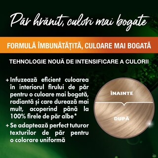 Garnier | Color Naturals | Vopsea de par blond cenusiu deschis 8.1