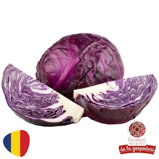 Gusturi romanesti | Varza rosie