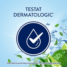 Lenor | Balsam pentru rufe Meadow, 71 spalari 1.491L