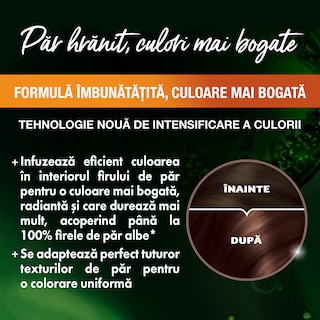 Garnier | Color Naturals | Vopsea pentru par 5.25 Saten mahon deschis 112ml