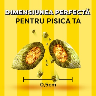 Dreamies | Recompense pentru pisici, cu aroma de iarba piscii 60g