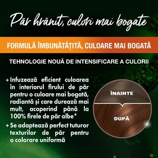 Garnier-Color Naturals