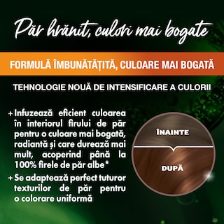 Garnier | Color Naturals | Vopsea par Ciocolata 6.34