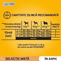 Pedigree | Hrana umeda pentru caini Junior, selectie mixta in aspic, 4x100g