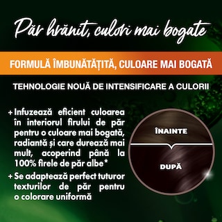 Garnier | Color Naturals | Vopsea pentru par 4.12 Saten rece
