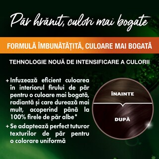 Garnier | Color Naturals | Vopsea pentru par 4.12 Saten rece