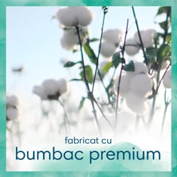 Pampers-Harmonie