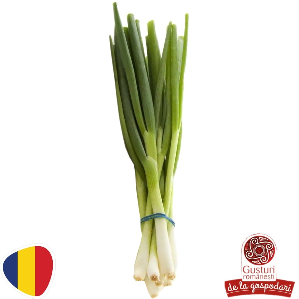 Romania product data sample: Ceapa verde, legatura