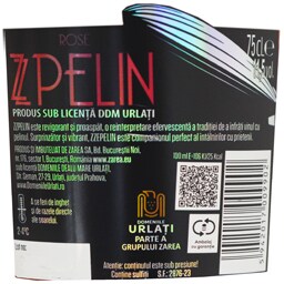 Zzpelin