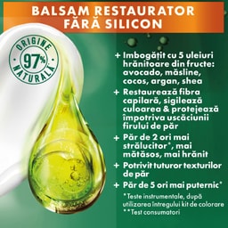 Garnier | Color Naturals | Vopsea de par blond cenusiu deschis 8.1