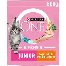 Purina One | Hrana uscata cu pui pentru puii de pisica 800g