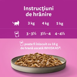 Whiskas | Hrana umeda pentru pisici bucati moi de pasare in aspic 4x85g