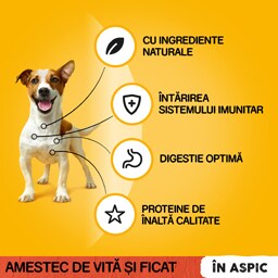 Pedigree | Hrana completa pentru caini adulti cu vita si ficat 100g