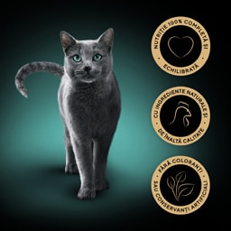Sheba | Hrana umeda pentru pisici, cu pui 85g