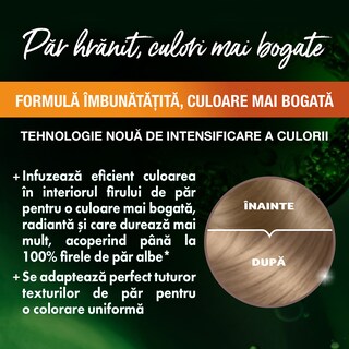 Garnier | Color Naturals | Vopsea par blond cenusiu 7.1