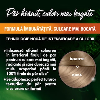 Garnier | Color Naturals | Vopsea par blond cenusiu 7.1