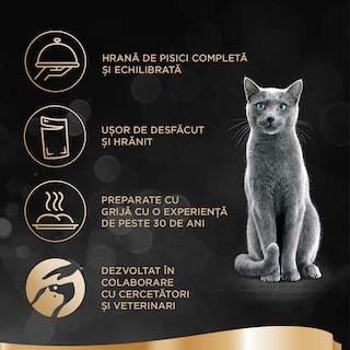 Sheba