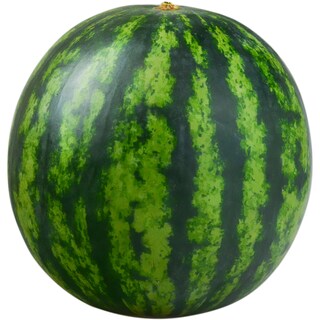 (vrac) | Pepene verde fara samburi, import