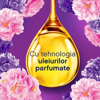 Lenor