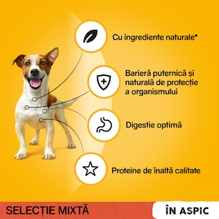 Pedigree | Pouch | Hrana completa pentru caini adulti, 2 cu vita si 2 cu pasare, 4x100g