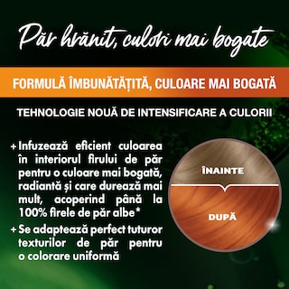 Garnier | Color Naturals | Vopsea de par 7.40 Cupru Pasional