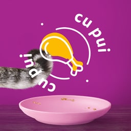 Whiskas | Hrana umeda pentru pui de pisica, cu pui in aspic 85g