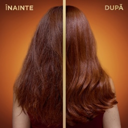 Garnier | Botanic Therapy | Sampon Honey & Beeswax 400ml