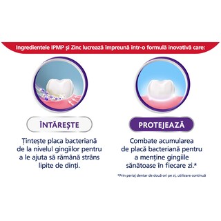 Parodontax | Apa de gura Gum Stregthen & Protect Icy Mint 500ml