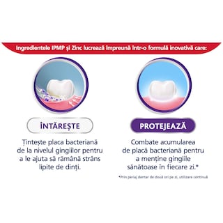 Parodontax | Apa de gura Gum Stregthen & Protect Icy Mint 500ml