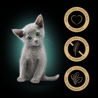 Sheba | Hrana umeda pentru pisici junioare, cu pui in sos 85g