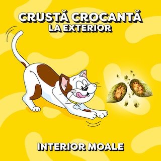 Dreamies | Recompense pentru pisici, cu aroma de iarba piscii 60g